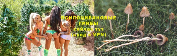прущий лед Сосновка