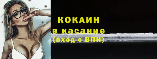 тгк Бородино