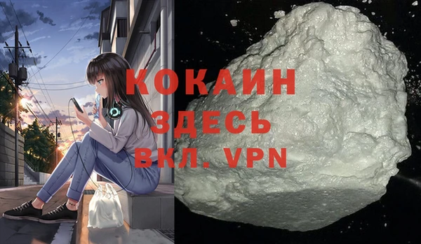 тгк Бородино