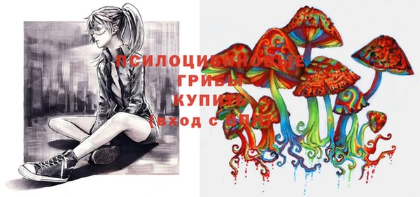 тгк Бородино