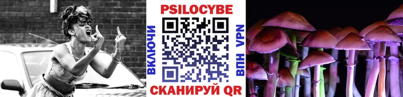 Псилоцибиновые грибы Magic Shrooms  ОМГ ОМГ зеркало  Кедровый  наркошоп 